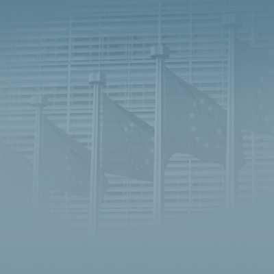 Planning the “After-Party” – The Future of Political Parties in Europe