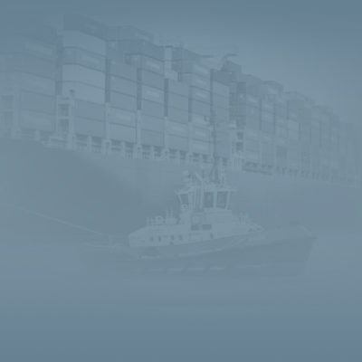 Shaping the Future Policy of Supply Chains: Resilience in Life Sciences