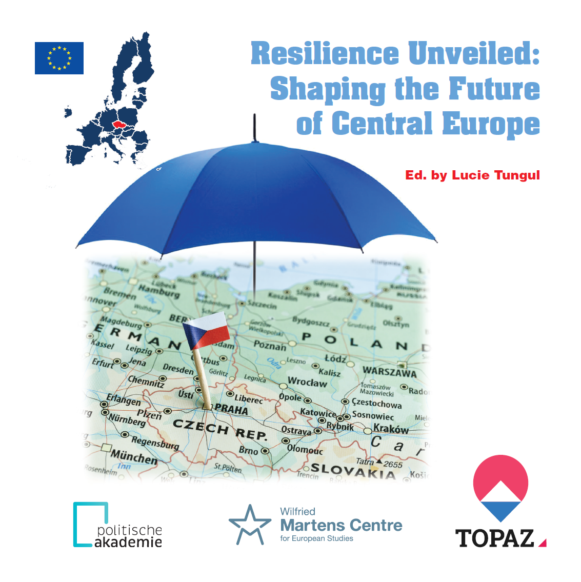 Resilience Unveiled: Shaping the Future of Central Europe