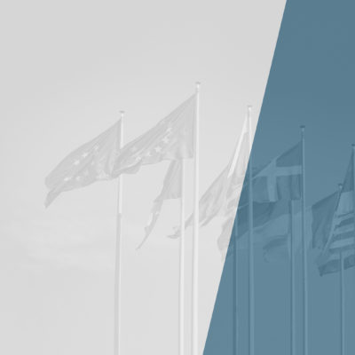 Keeping the European Momentum: Pan-European Study on EU Enlargement and Deepening