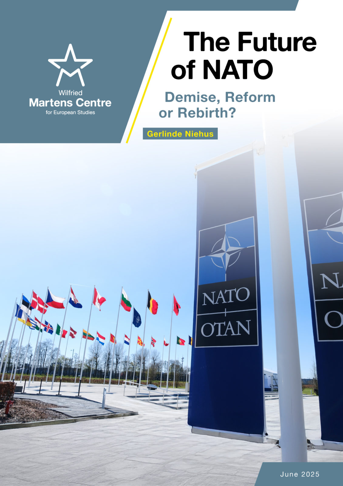 The Future of NATO: Demise, Reform, or Rebirth?